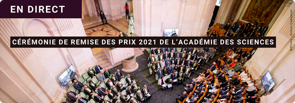 Cérémonie de remise des prix 2021