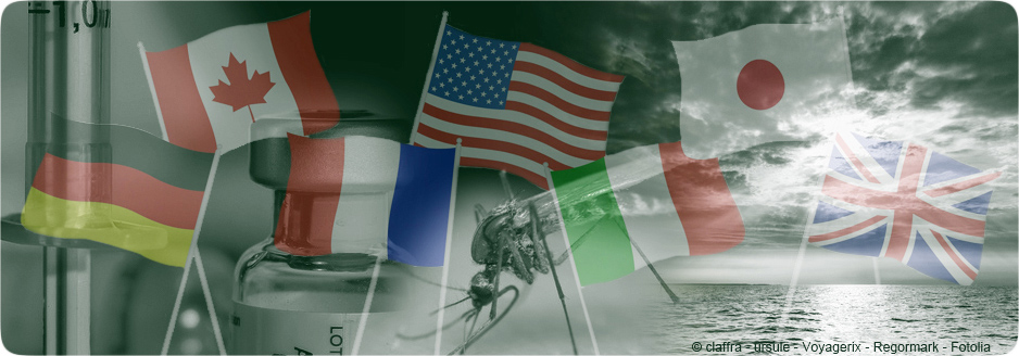 Composition avec drapeaux du G7