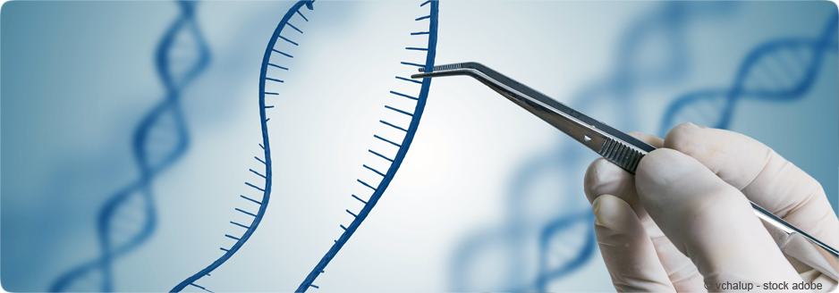 ADN Crispr