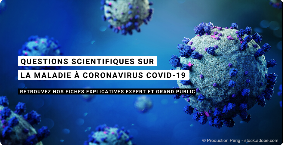 Coronavirus covid-19