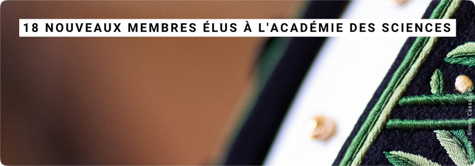 Élections 2019