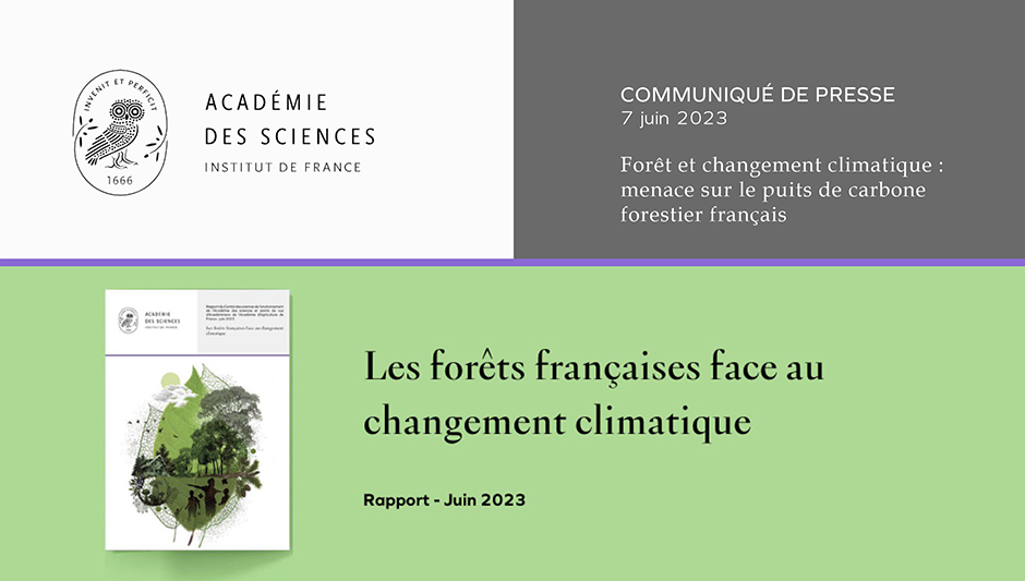 Forêt et changement climatique