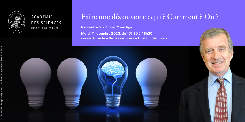 Découverte et cerveau