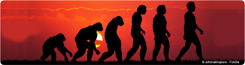 Évolution