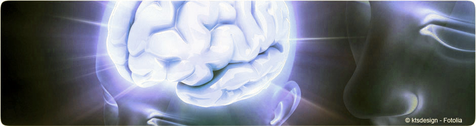 Cerveau