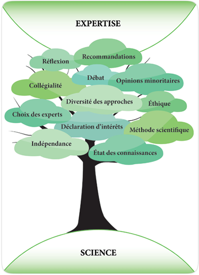 Arbre de l'expertise