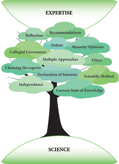 Arbre de l'expertise