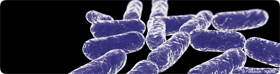 E. Coli