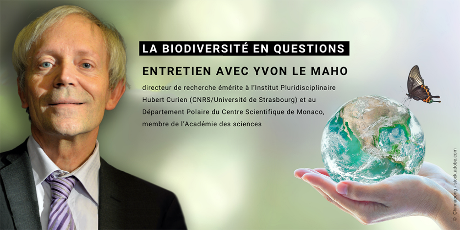 La biodiversité en questions – Entretien avec Yvon Le Maho