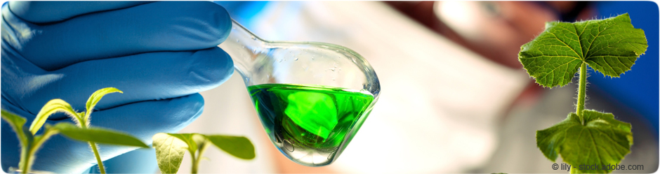 Chimie verte