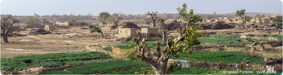 Afrique