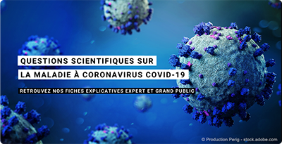 Covid 19