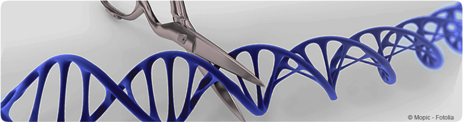 Crispr