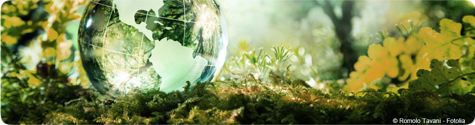 Vue abstraite pour le développement durable
