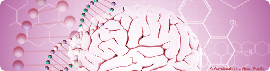 Gènes et cerveau