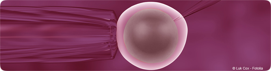 Fécondation in vitro