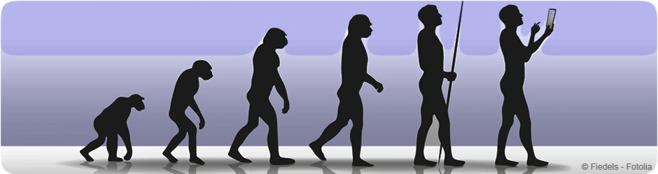 L'évolution humaine