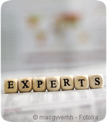experts