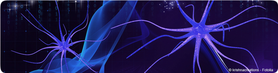 Vue abstraite de neurones