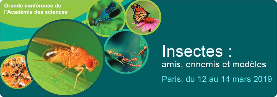 Insectes : amis, ennemis et modèles / 2,5 jours | Colloques ...