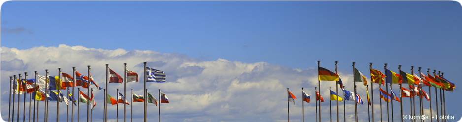 Drapeaux