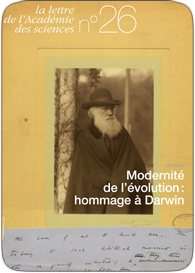 La lettre n°26