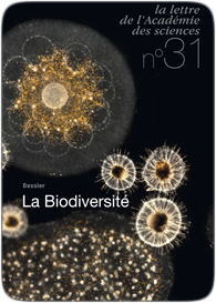 La lettre n°31