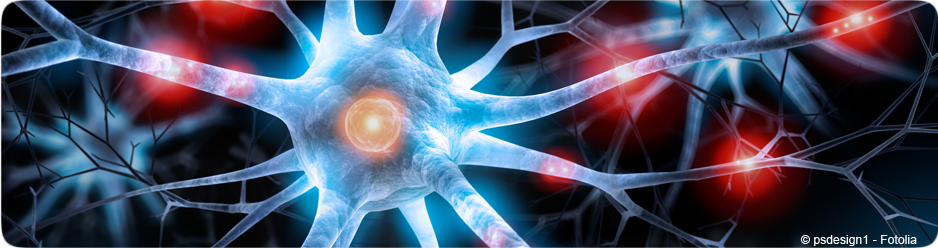 Neurones