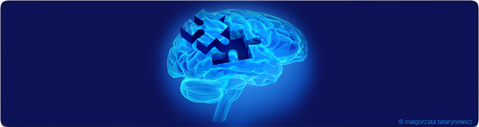 Cerveau