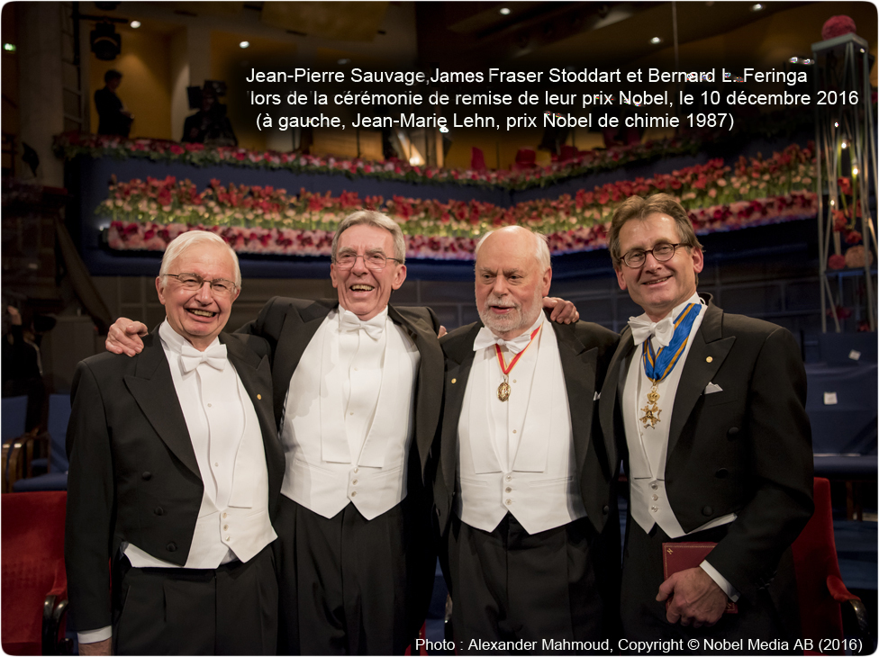 Remise des ^rix Nobel 2016