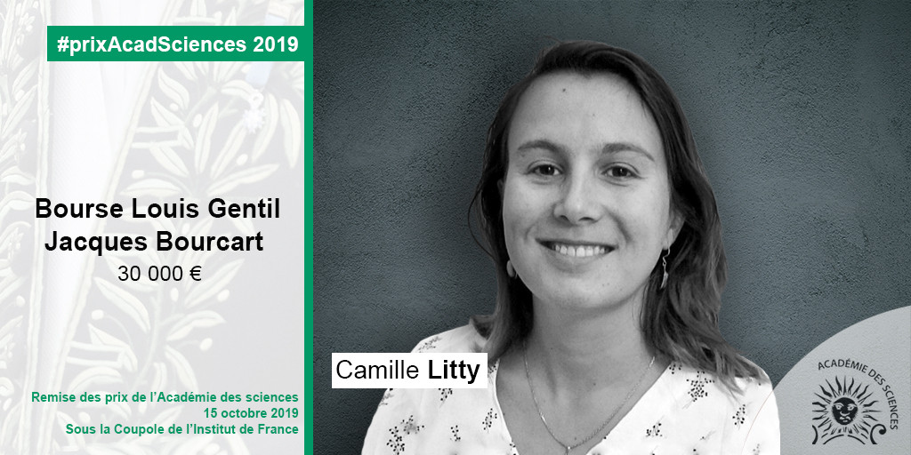 Camille Litty