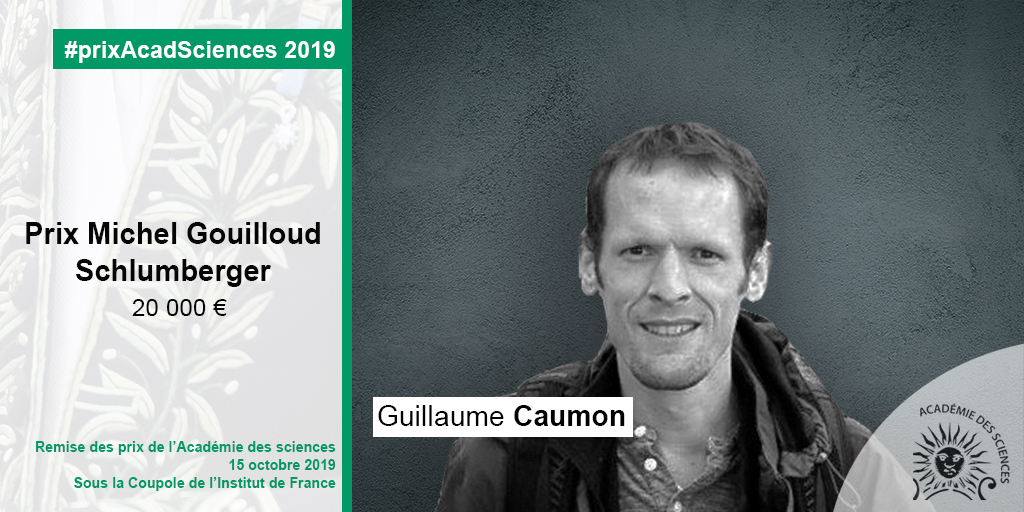 Guillaume Caumon
