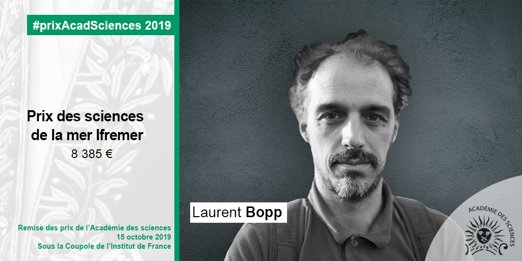 Laurent Bopp