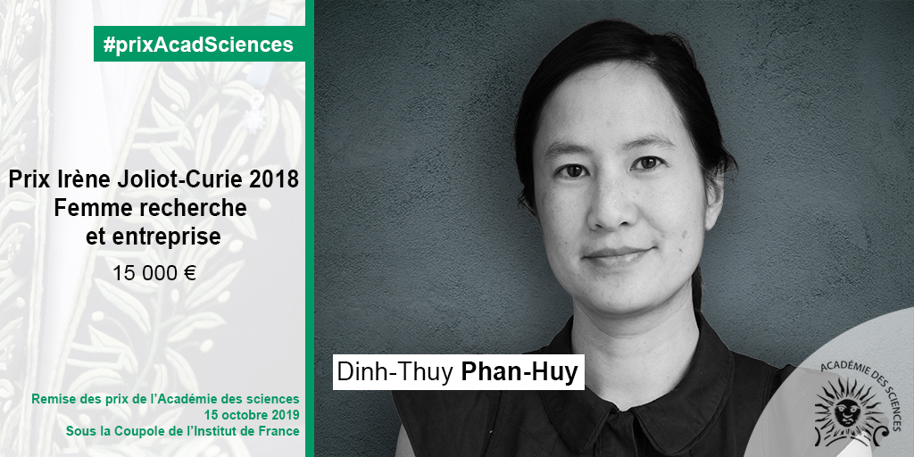 Dinh-Thuy Phan-Huy
