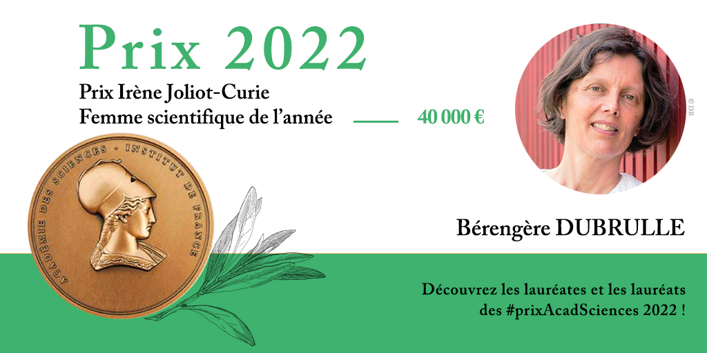 Bérengère DUBRULLE