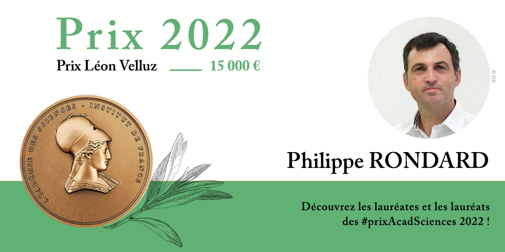 Philippe RONDARD