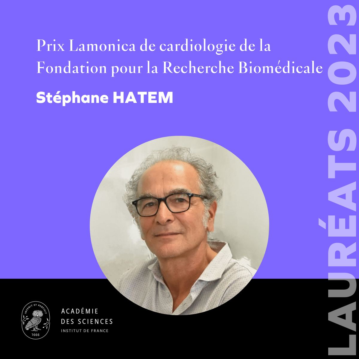 2023 Lamonica Cardiology Prize Winner: Stephane Hatem |  Winners |  Awards and medals