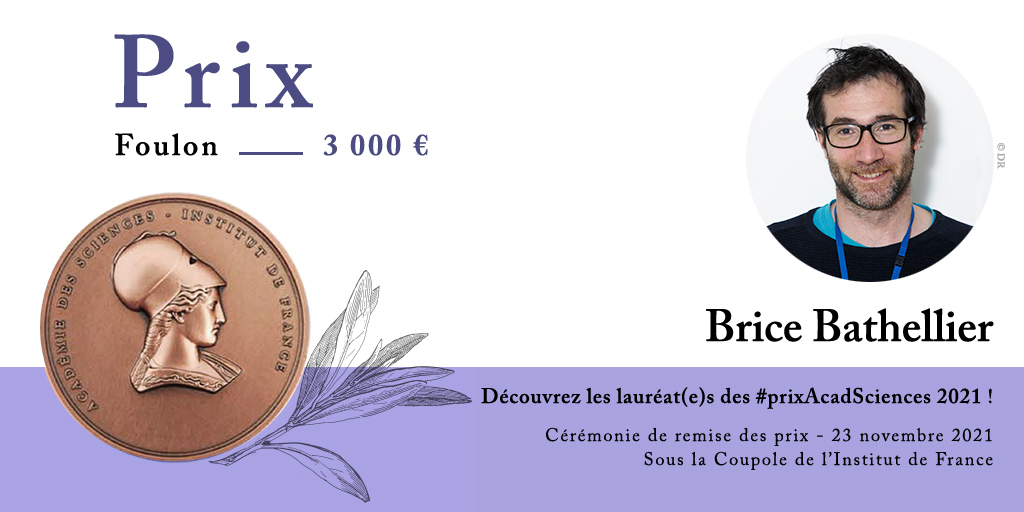 Brice Bathellier