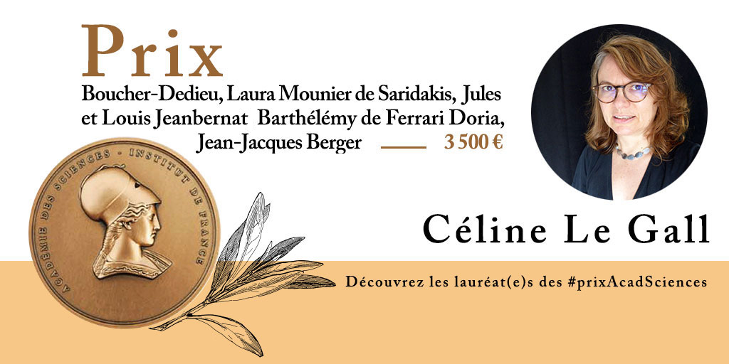 Céline Le Gall