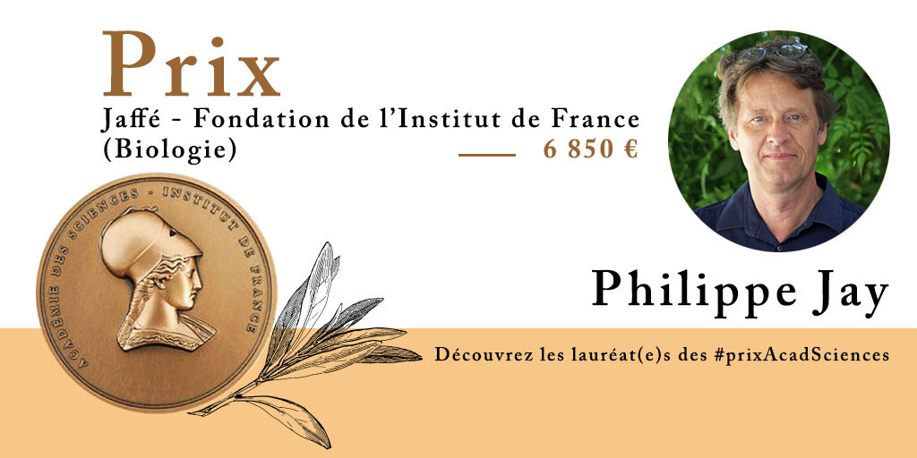 Philippe Jay