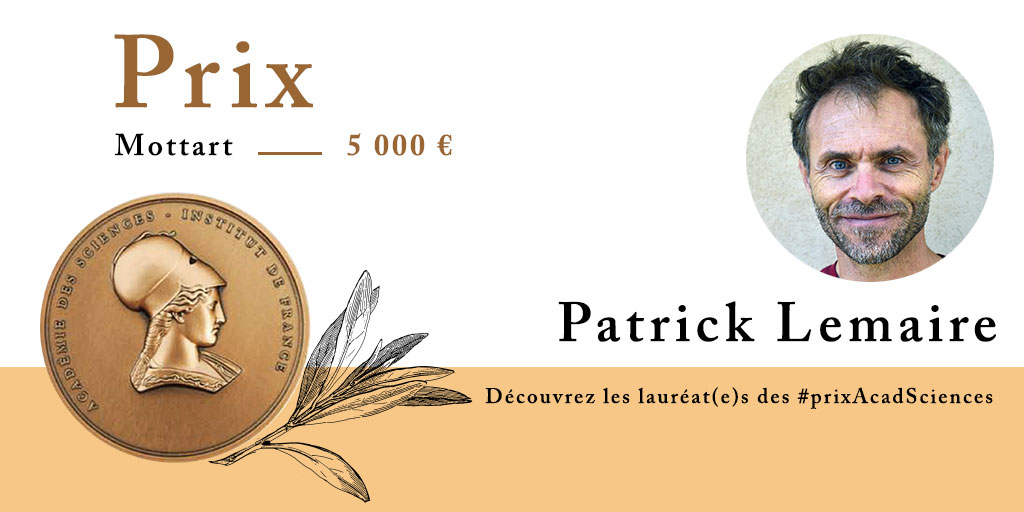 Patrick Lemaire
