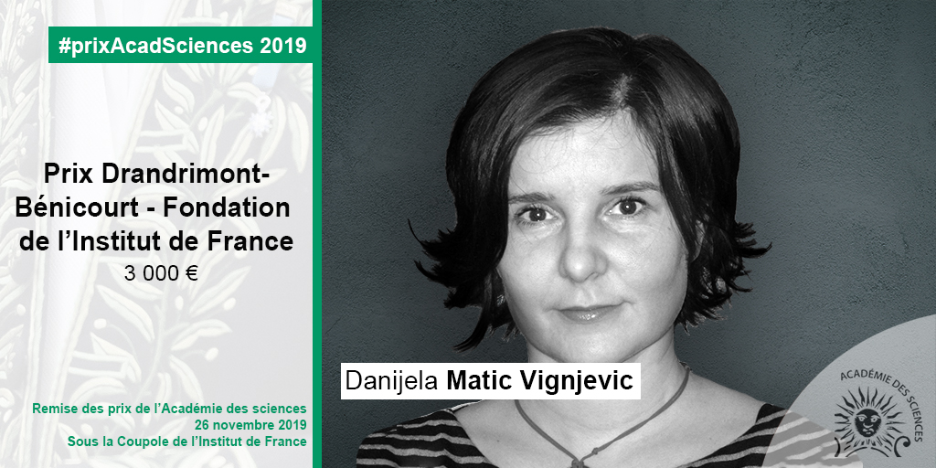 Danijela Matic-Vignjevic