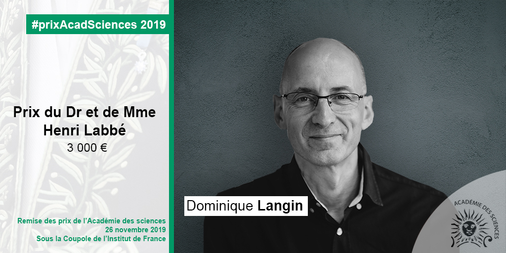 Dominique Langin