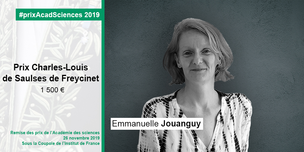 Emmanuelle Jouanguy