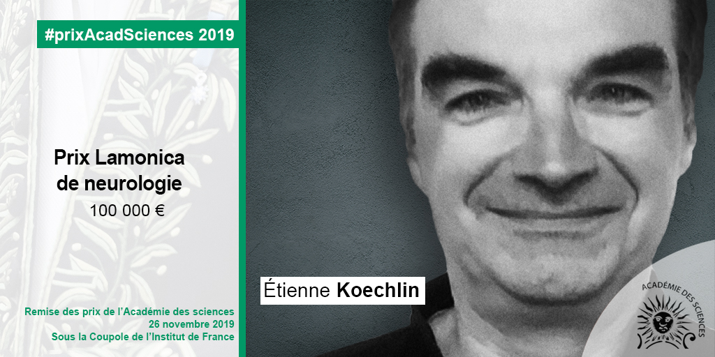Etienne Koechlin