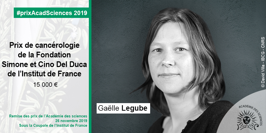 Gaëlle Legube