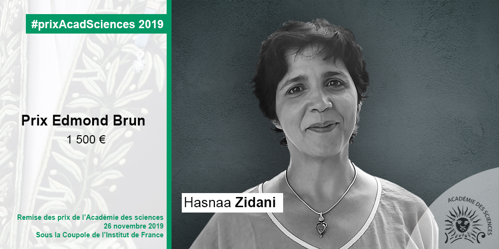 Hasnaa Zidani