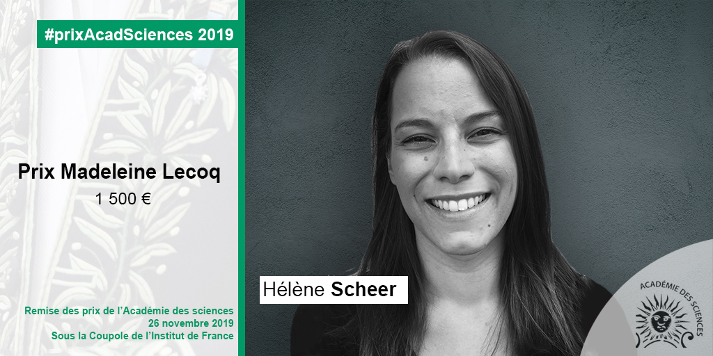 Hélène Scheer