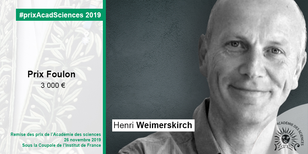 Henri Weimerskirch