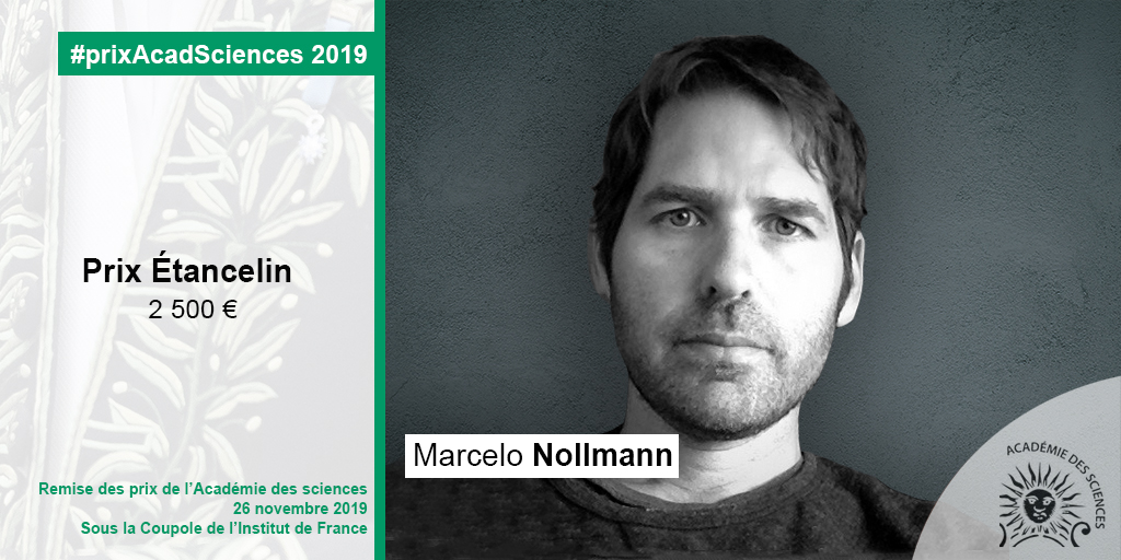 Marcelo Nollmann
